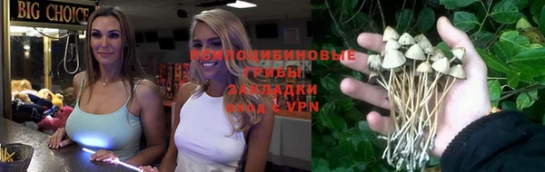 винт Алзамай