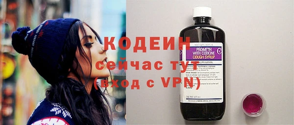 гашик Пестово