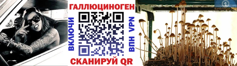 Галлюциногенные грибы прущие грибы  наркота  KRAKEN tor  Игарка 
